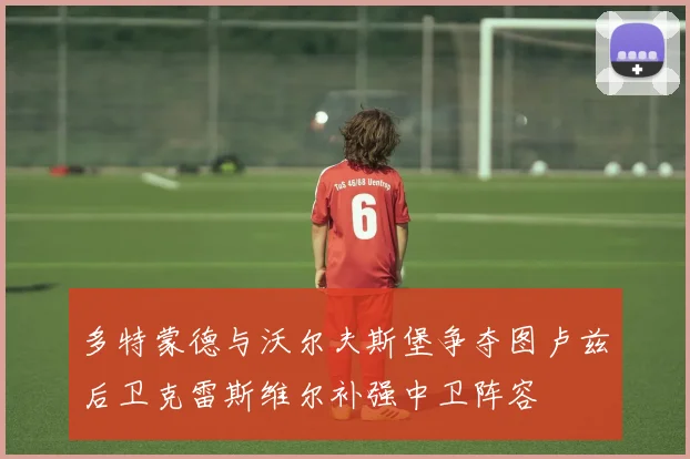 多特蒙德与沃尔夫斯堡争夺图卢兹后卫克雷斯维尔补强中卫阵容